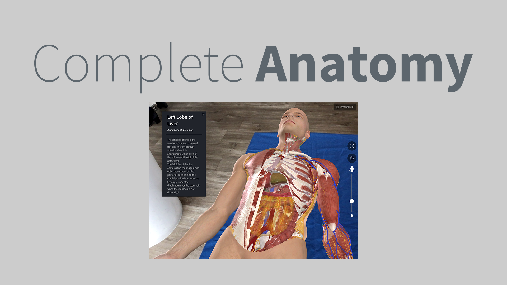 Complete Anatomy slide