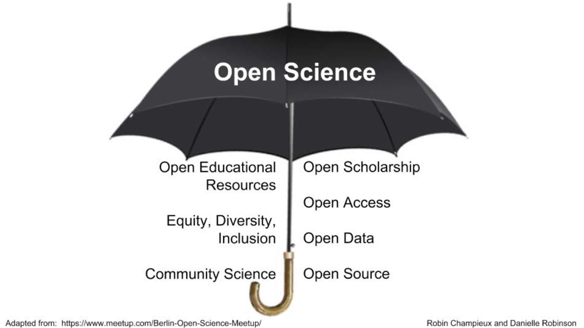 image of an umbrella with the text “Open Science; Open Educational Resources; Equity, Diversity, Inclusion; Community Science; Open Scholarship; Open Access; Open Data; Open Source”