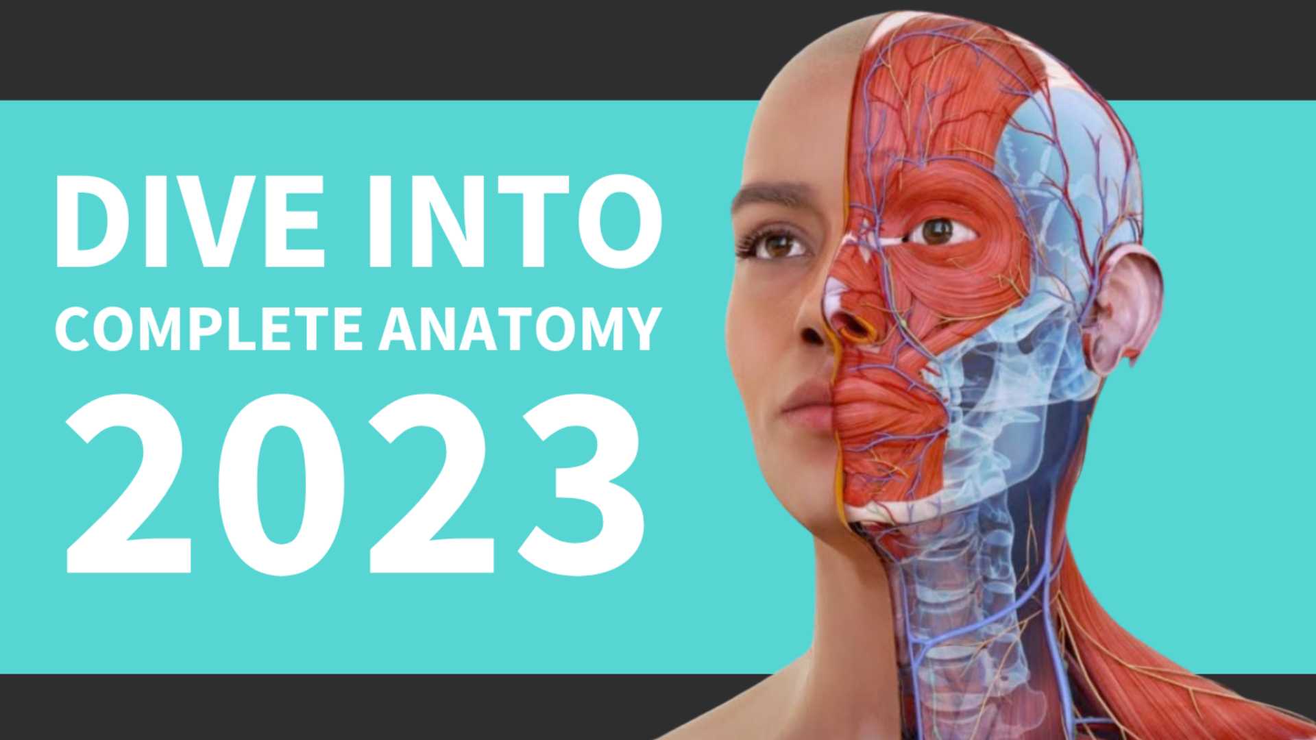 "Dive Into Complete Anatomy 2023" with a rendering of a model with half their face shown as muscles and bones.