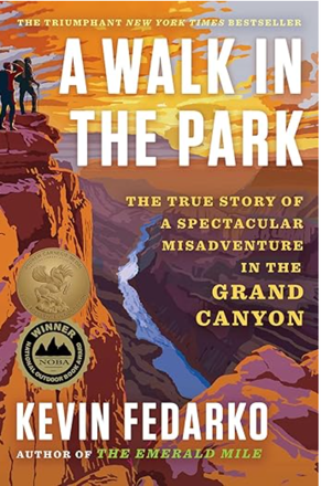 A Walk in the Park book cover