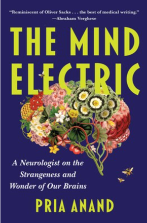 The Mind Electric book cover