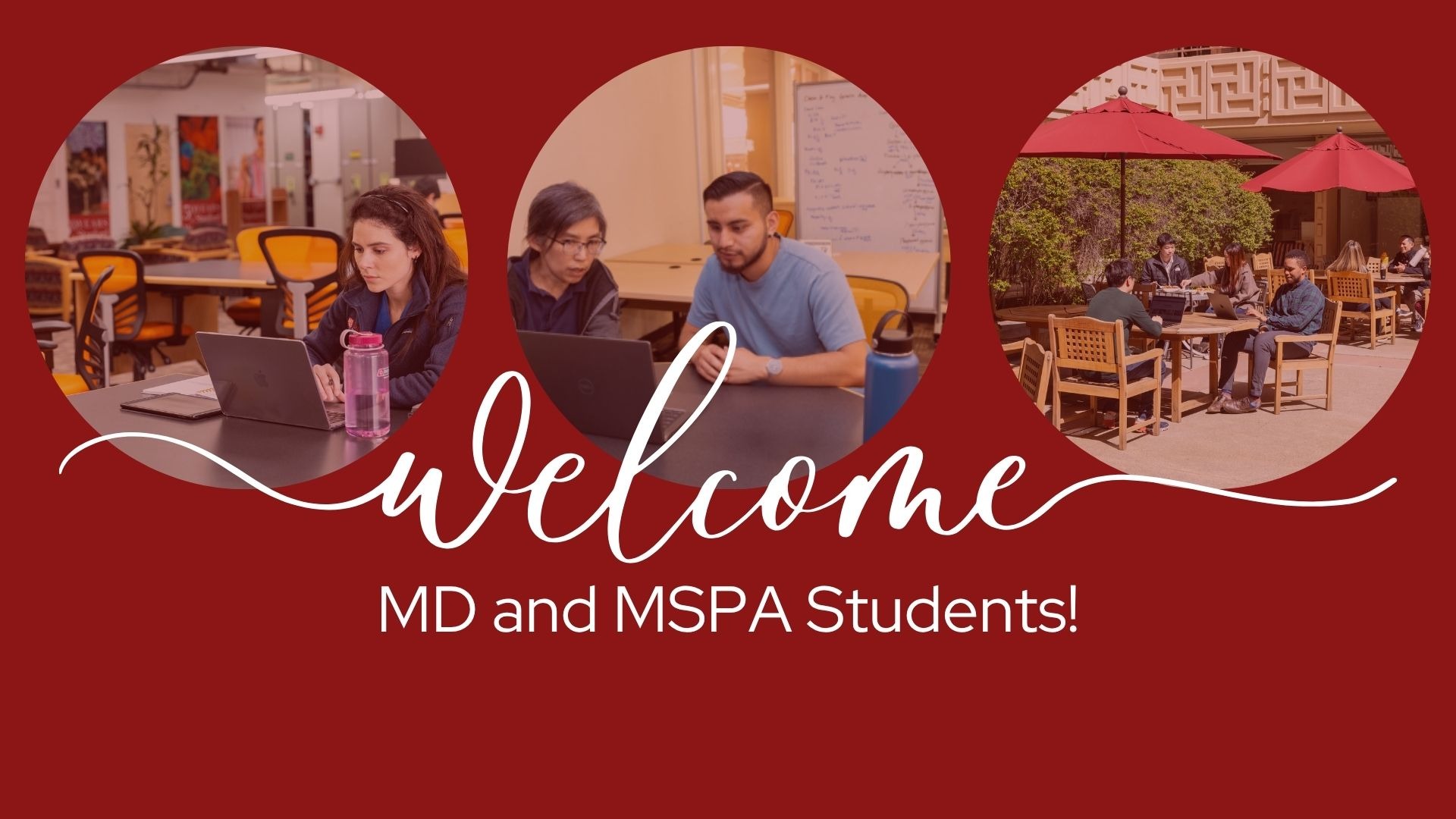 Welcome new MD and MSPA students